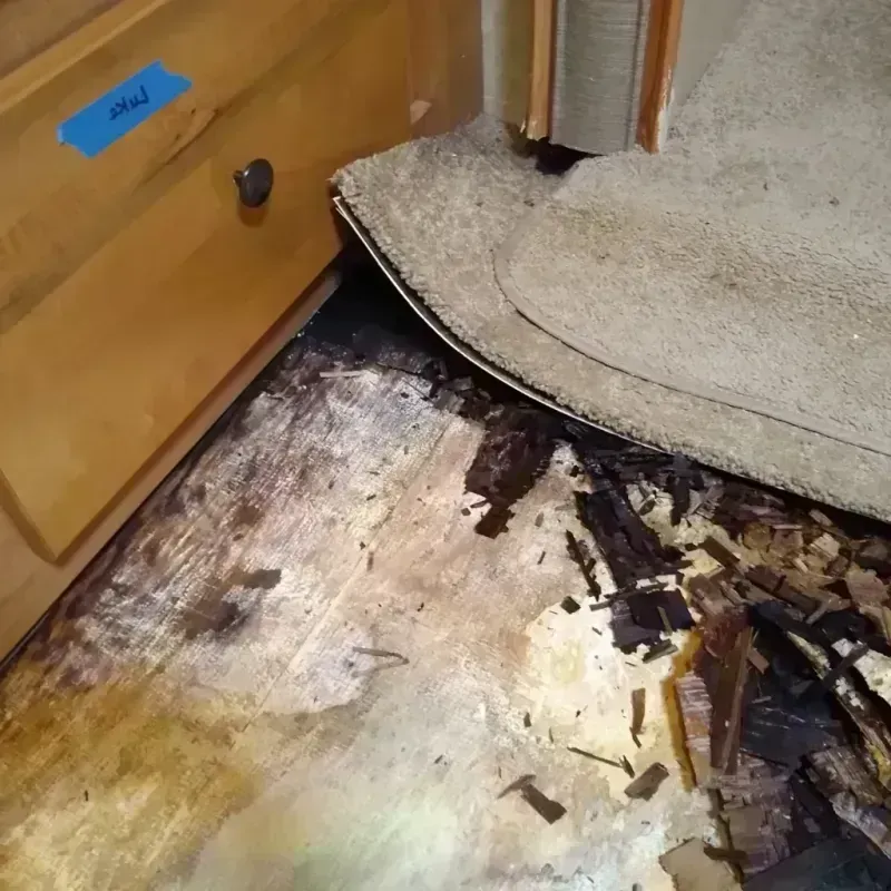 Best Wood Floor Water Damage Service in Putnam Lake, NY